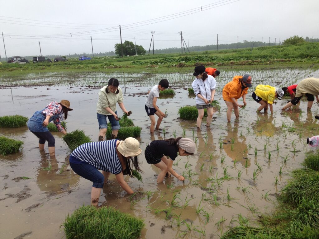 好調（＾＾）/　るるる♪キッチンガーデンくらぶ