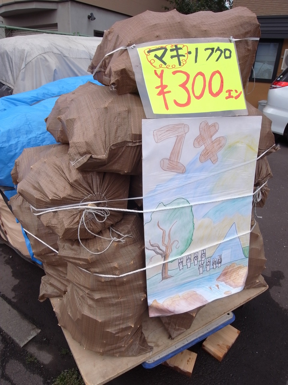 キャンプに薪！