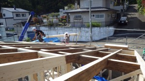 大きな屋根の土台を登るのが大変です。